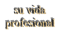 su vida profesional